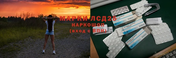 ПСИЛОЦИБИНОВЫЕ ГРИБЫ Сосновый Бор