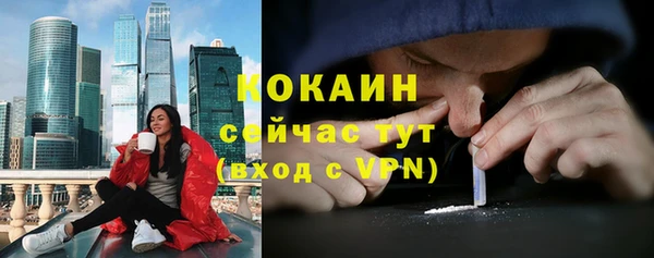 дмт Сосновка