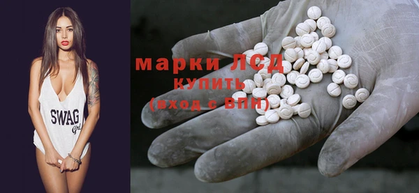 ПСИЛОЦИБИНОВЫЕ ГРИБЫ Сосновый Бор