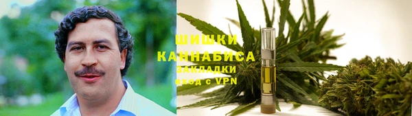 ПСИЛОЦИБИНОВЫЕ ГРИБЫ Сосновый Бор