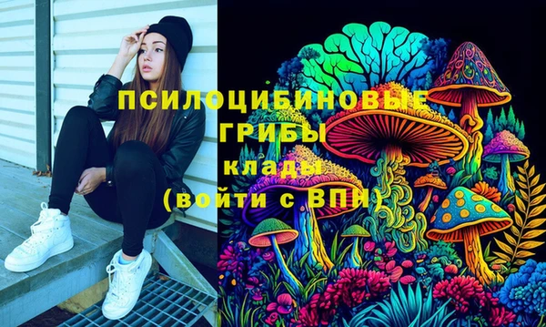 ПСИЛОЦИБИНОВЫЕ ГРИБЫ Сосновый Бор