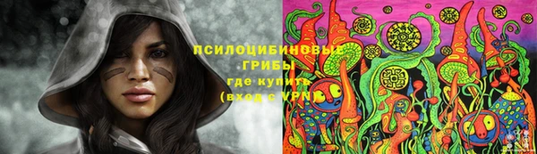 герыч Сосновоборск