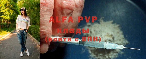 ПСИЛОЦИБИНОВЫЕ ГРИБЫ Сосновый Бор