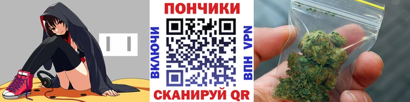 Купить закладки  Нолинск  Бошки марихуана AK-47 